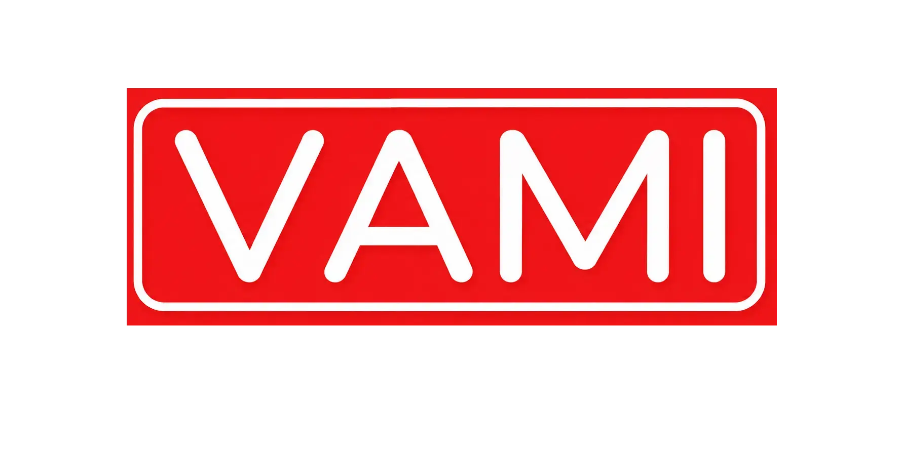 VAMI Business & Analytics Developers